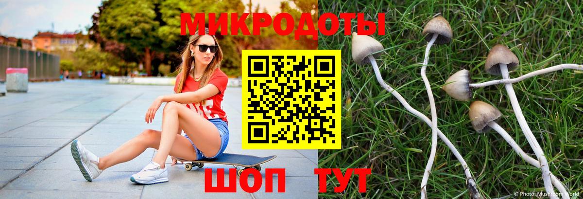 Псилоцибиновые грибы Magic Shrooms  Вход с VPN  Галлюциногенные грибы MAGIC MUSHROOMS  Снежинск 